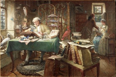 Grubs and Butterflies by Charles J. Staniland